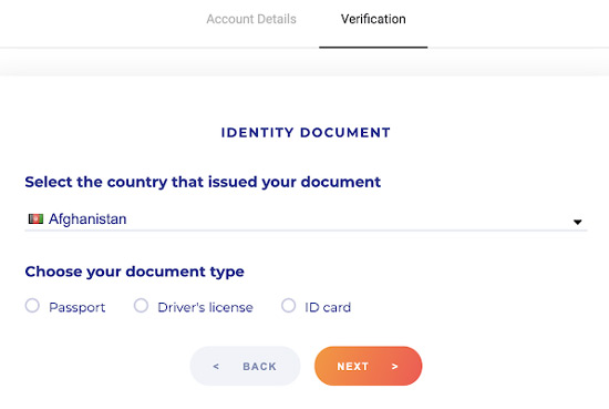 Selecting the document type